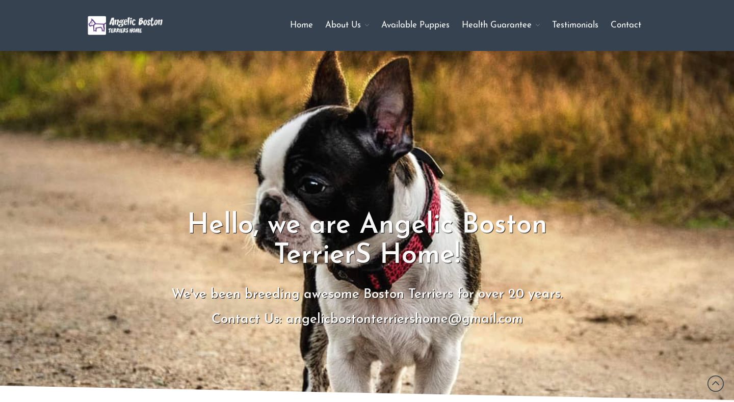 Angelicbostonterriershome.com - Boston Terrier Puppy Scam Review