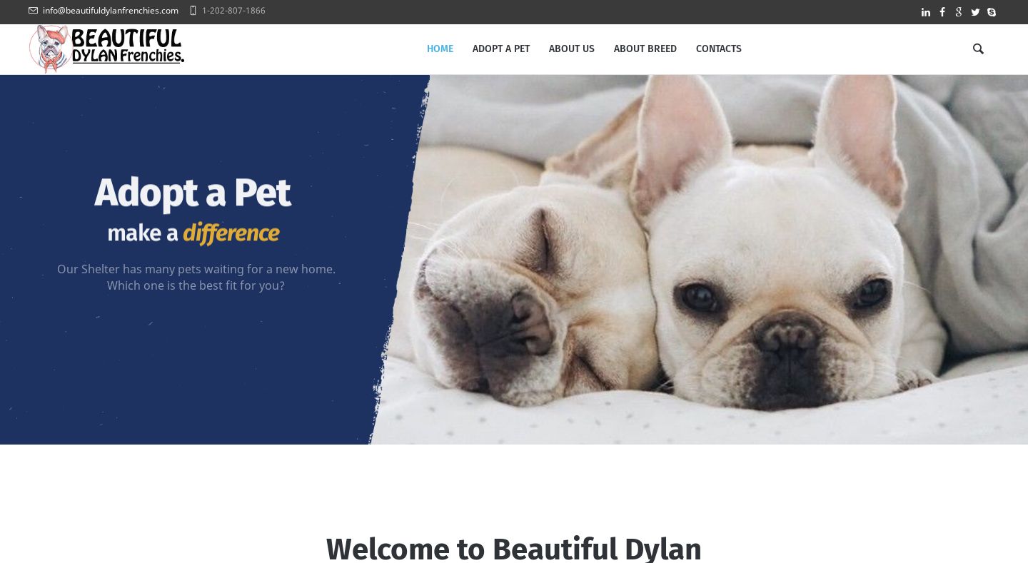 Beautifuldylanfrenchies.com - French Bulldog Puppy Scam Review