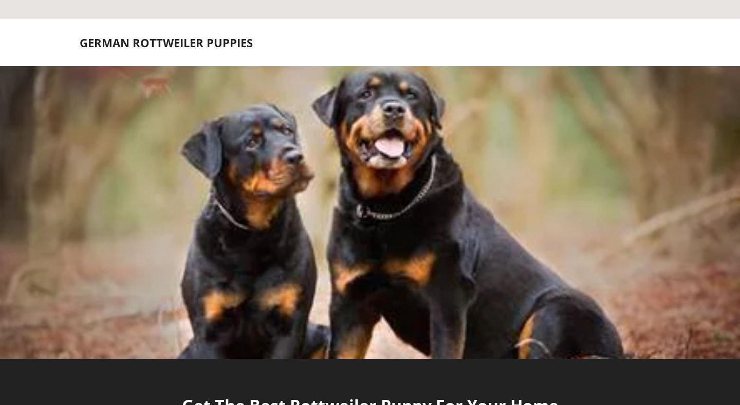 Beautifulpupshome.com - Doberman Pinscher Puppy Scam Review