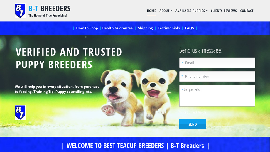 Bestteacupbreeders.com - Yorkshire Terrier Puppy Scam Review