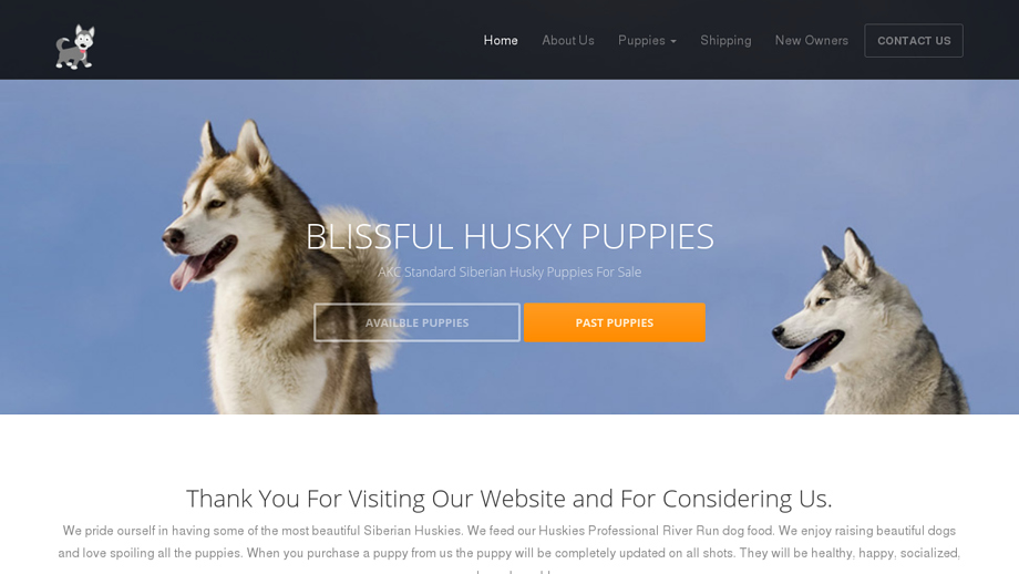 Blissfulhuskypuppies.com - Husky Puppy Scam Review