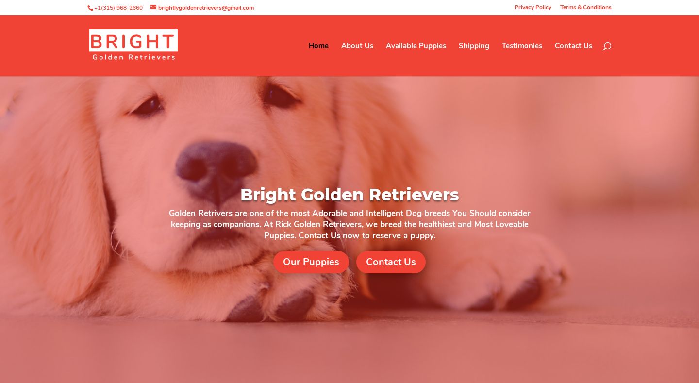 Brightgoldenretrievers.com - Golden Retriever Puppy Scam Review