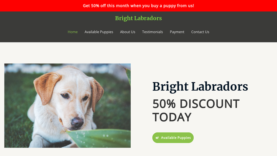 Brightlabradors.com - Golden Retriever Puppy Scam Review