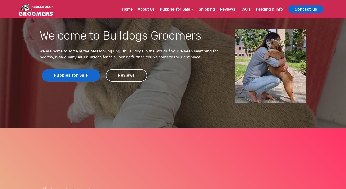 Bulldogs-groomers.com - Bulldog Puppy Scam Review