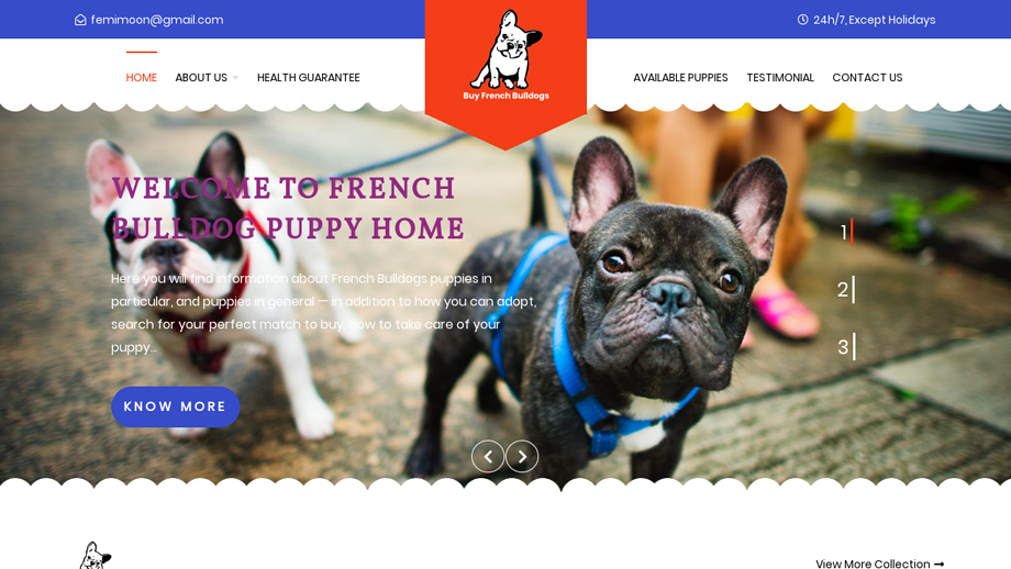 Buybulldogpuppy.com - French Bulldog Puppy Scam Review