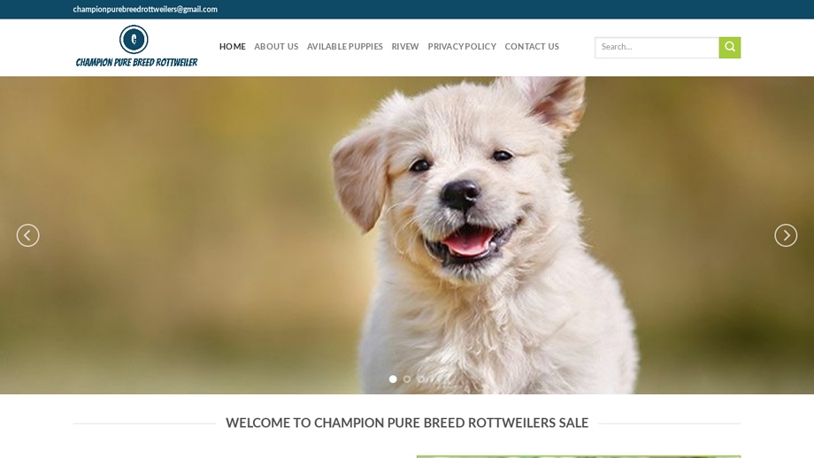 Championpurebreedrottweilers.com - Rottweiler Puppy Scam Review