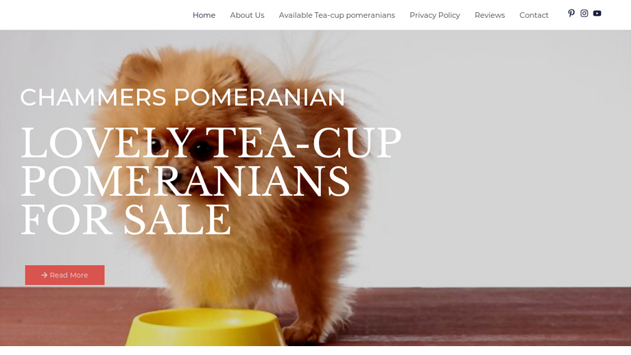 Charmmerspomeranian.com - Pomeranian Puppy Scam Review