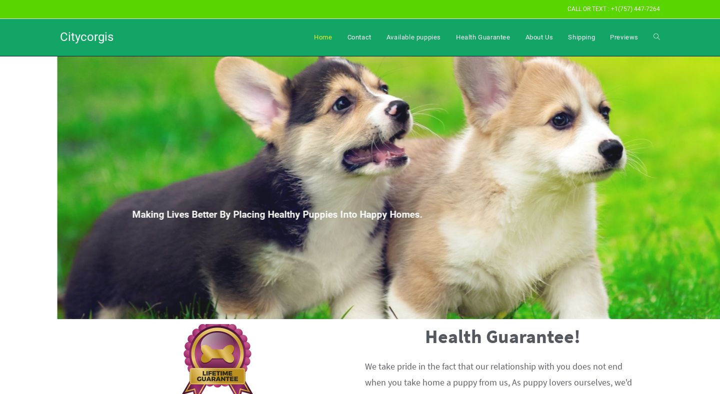 Citycorgis.com - Corgi Puppy Scam Review