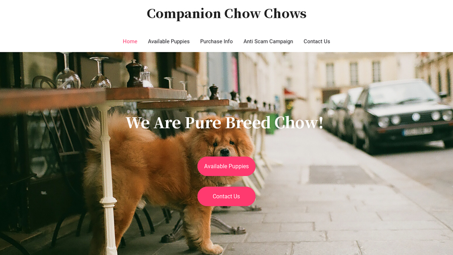 Companionchowchows.com - Chowchow Puppy Scam Review