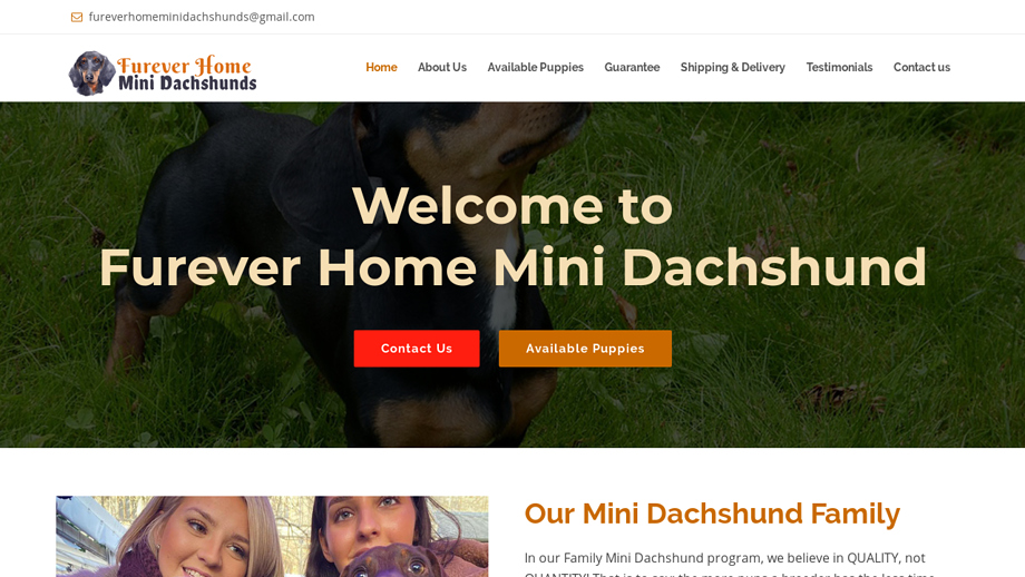 Fureverhomeminidachshund.com - Dachshund Puppy Scam Review