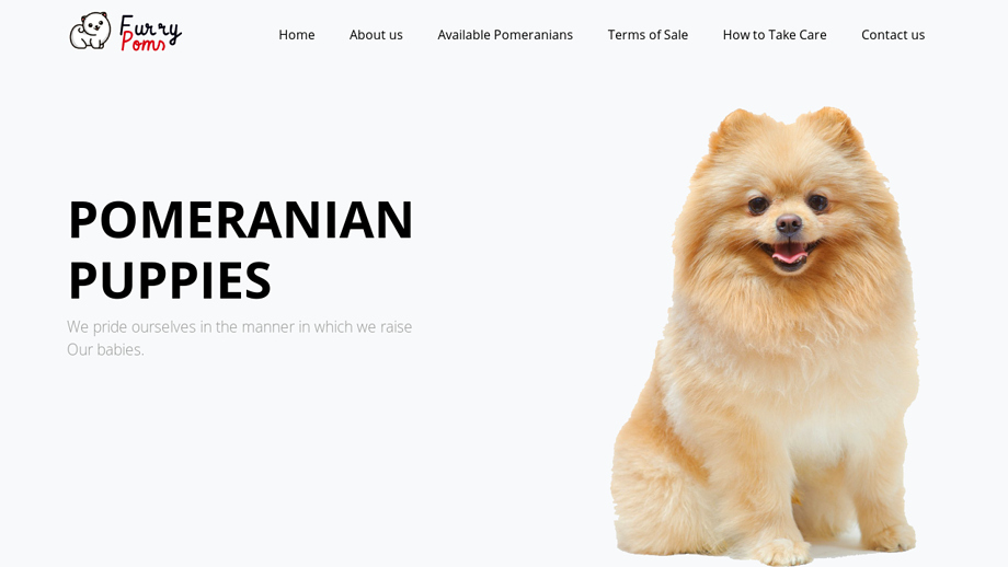 Furrypoms.com - Pomeranian Puppy Scam Review