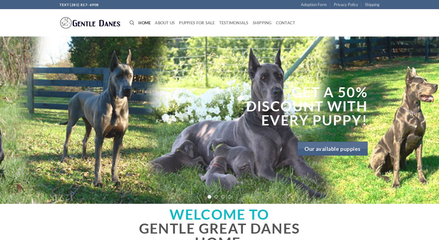 Gentlelittersoftx.com - Great Dane Puppy Scam Review