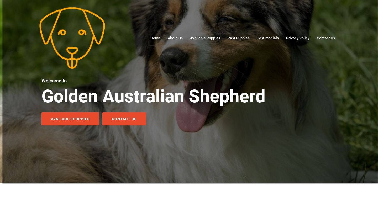 Goldenaustralianshepherd.com - Germanshepherd Puppy Scam Review