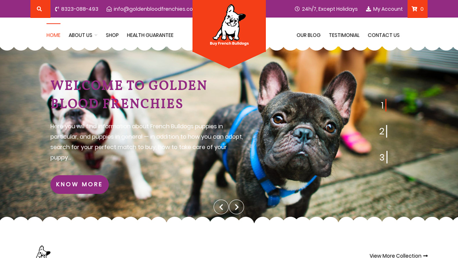 Goldenbloodfrenchies.com - French Bulldog Puppy Scam Review