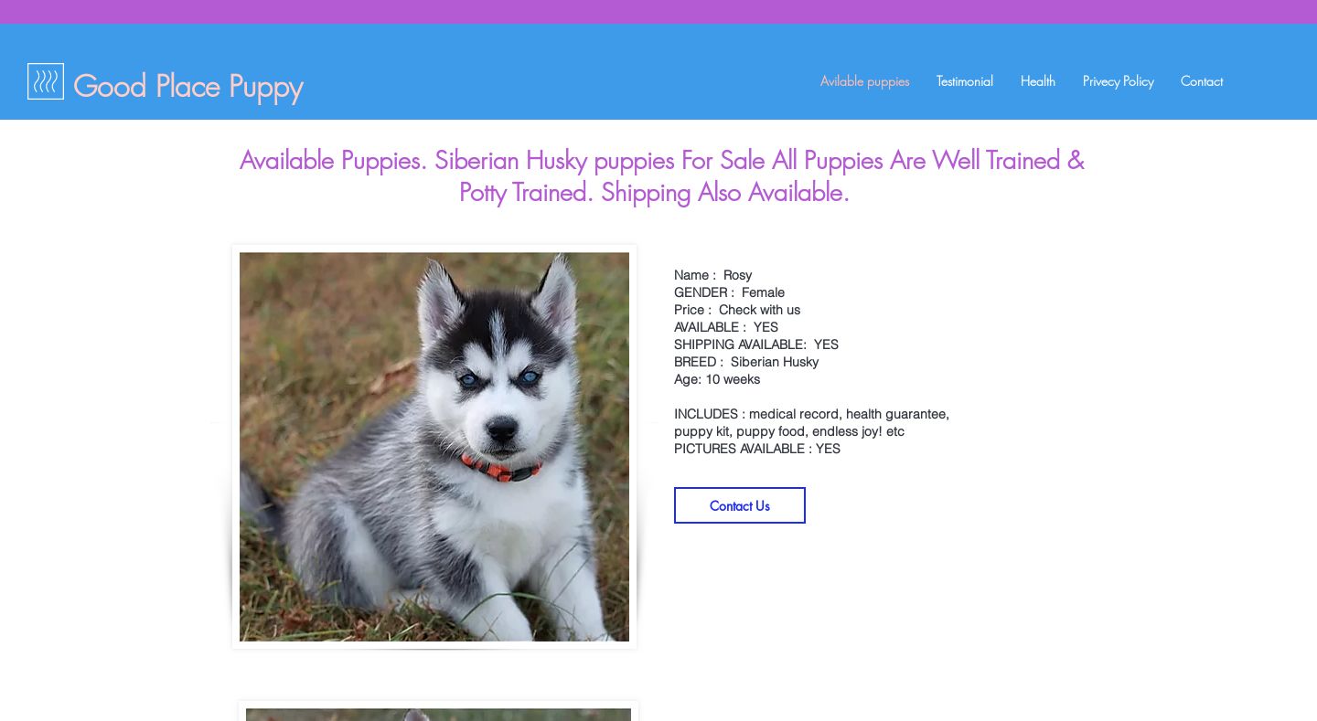 Goodplacepuppy.com - Husky Puppy Scam Review