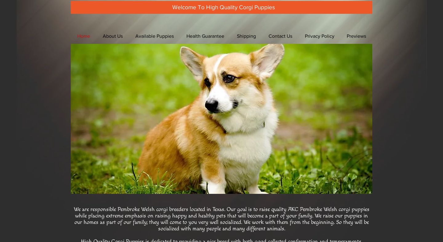 Highqualitycorgipuppies.com - Corgi Puppy Scam Review