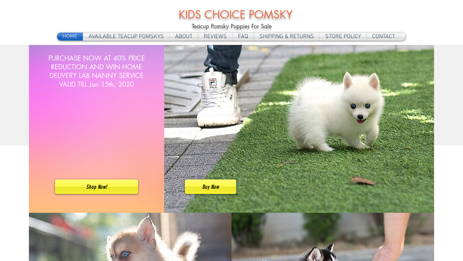 Kidschiocepomsky.us - Pomeranian Puppy Scam Review