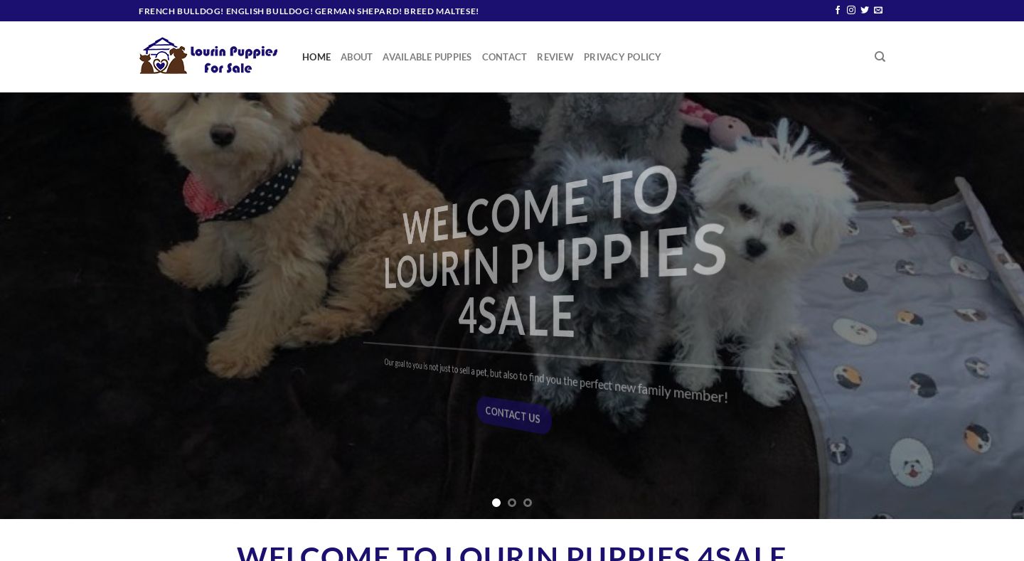 Lourinpuppies4sale.com - English Bulldog Puppy Scam Review