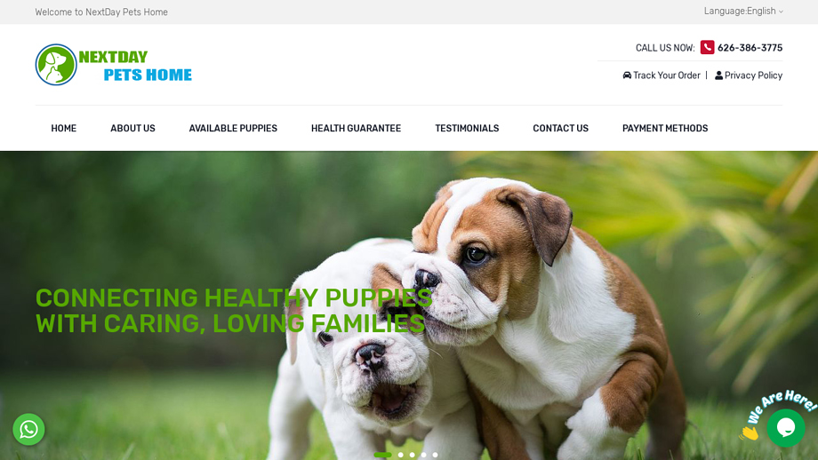 Nextdaypetshome.com - English Bulldog Puppy Scam Review