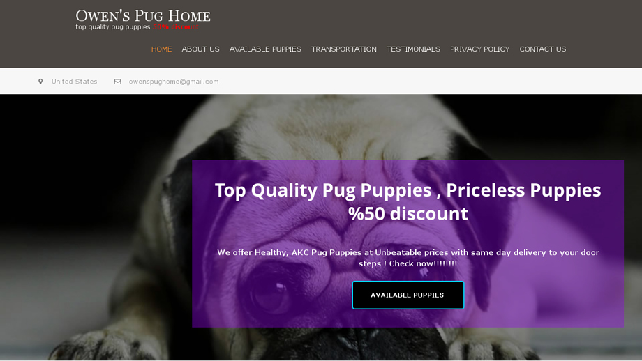 Owenspughome.com - Pug Puppy Scam Review