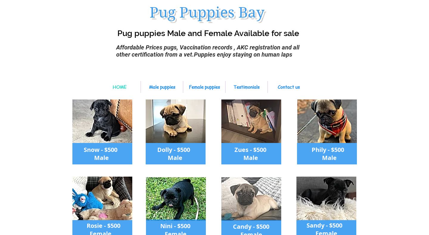 Pugpuppiesbay.com - Pug Puppy Scam Review