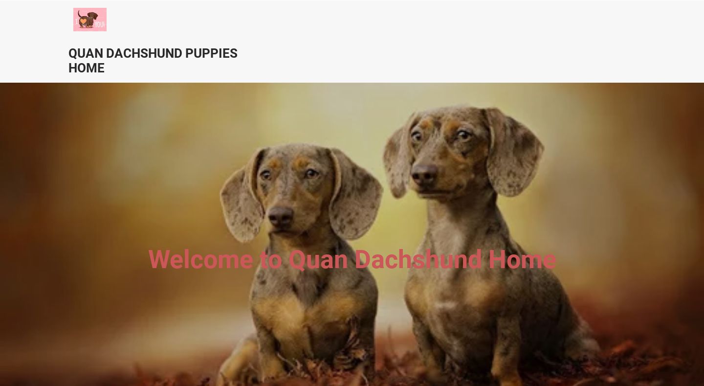 Quandachshundpuppies.com - Dachshund Puppy Scam Review