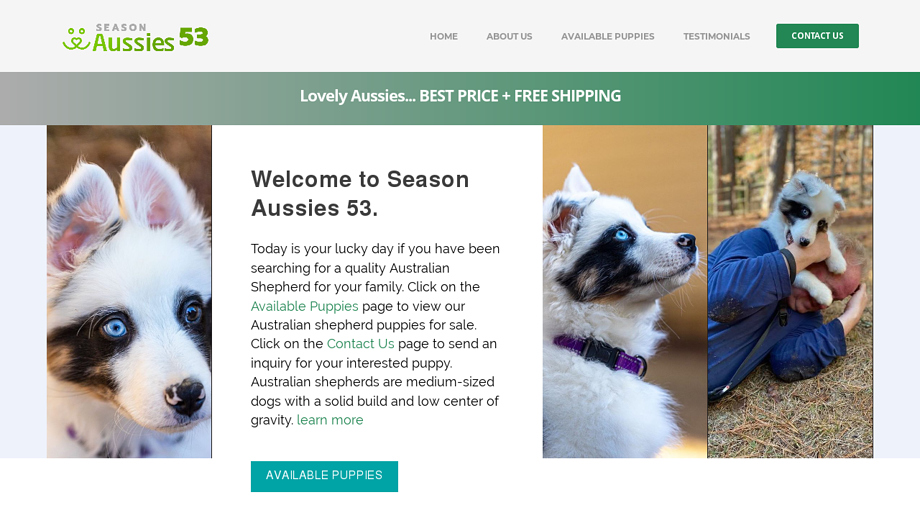 Seasonaussies53.com - Australian Shepherd Puppy Scam Review