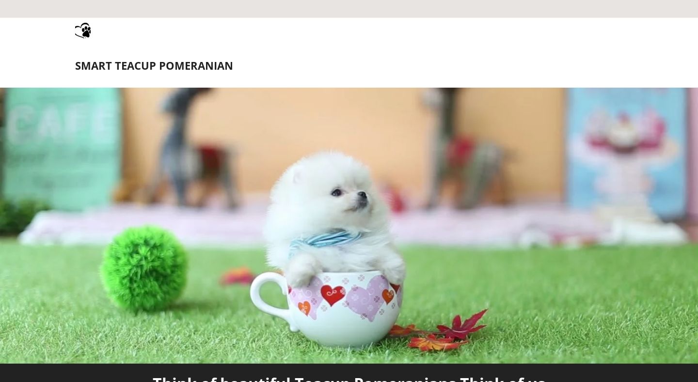 Smartteacuppomeranians.com - Pomeranian Puppy Scam Review