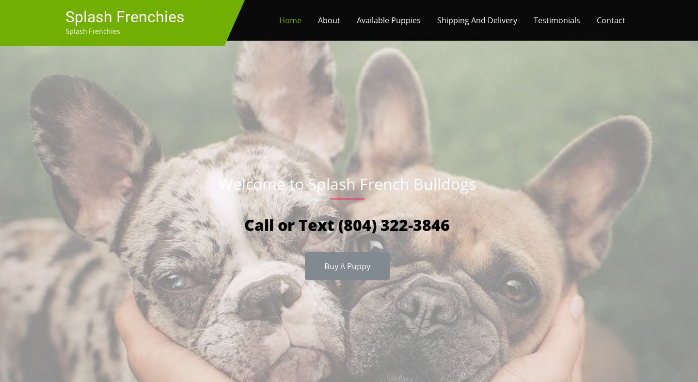 Splashfrenchies.com - French Bulldog Puppy Scam Review