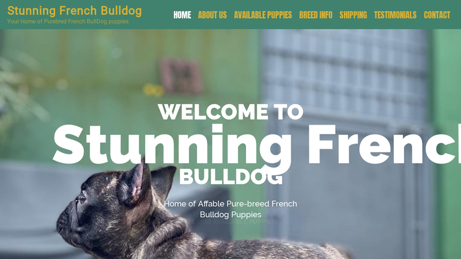 Stunningfrenchbulldog.com - French Bulldog Puppy Scam Review