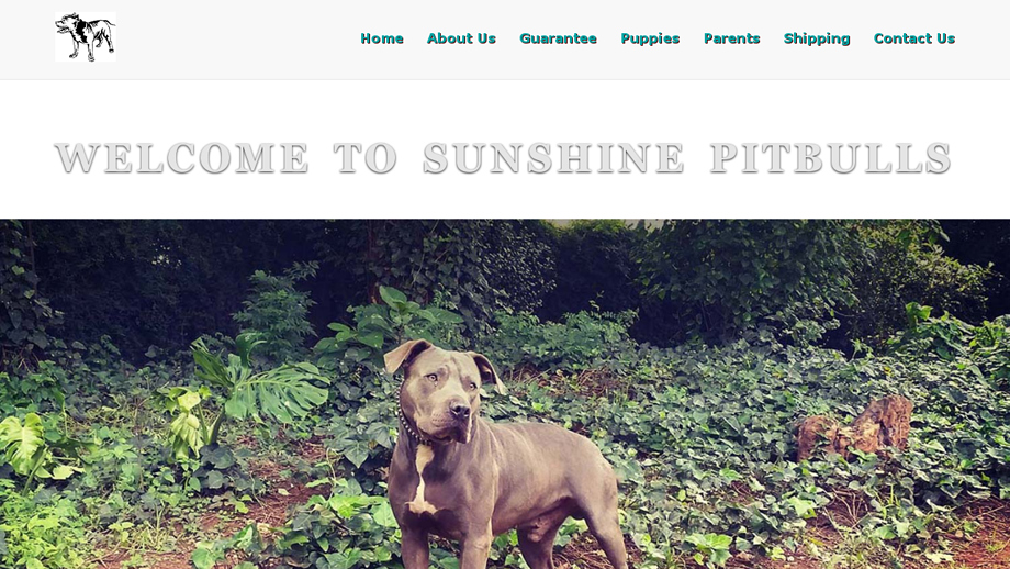 Sunshinepitbullpuppies.com - Pit Bull Puppy Scam Review