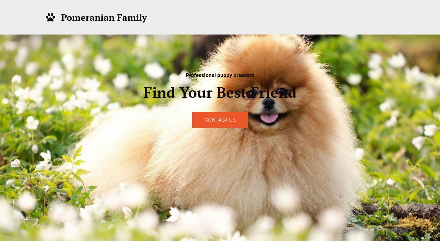 Thepomfamily.com - Pomeranian Puppy Scam Review