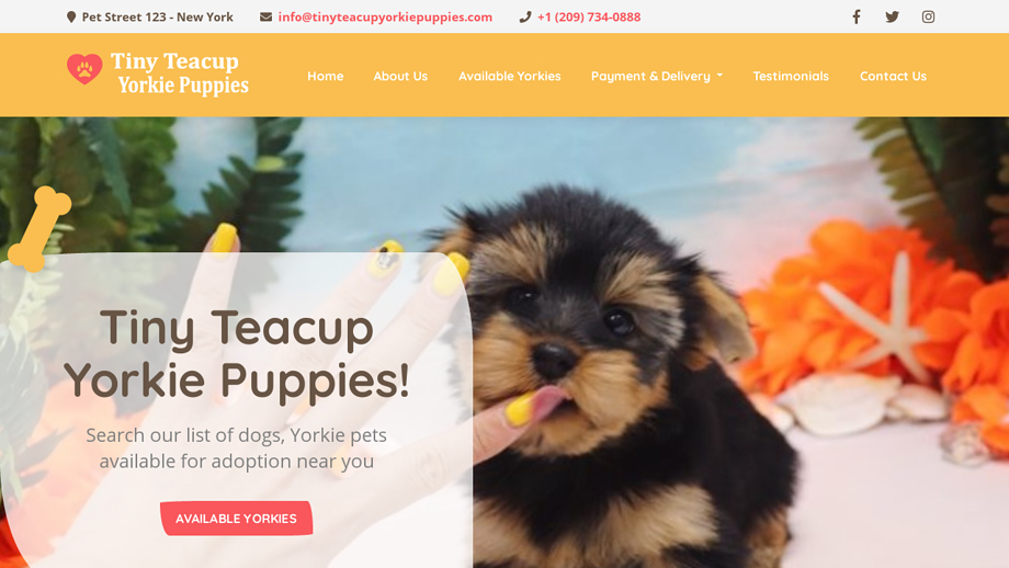 Tinyteacupyorkiepuppies.com - Yorkshire Terrier Puppy Scam Review