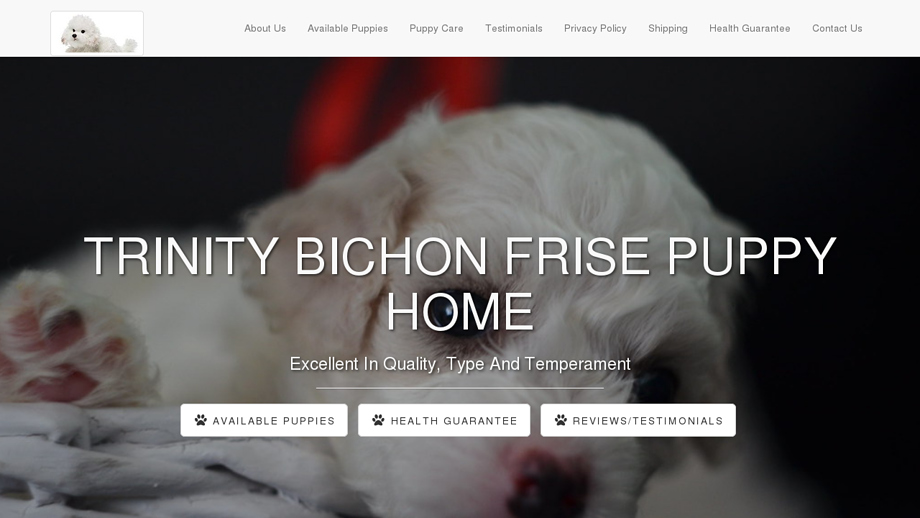 Trinitybichonfrisepuppyhome.com - Bichon Frise Puppy Scam Review