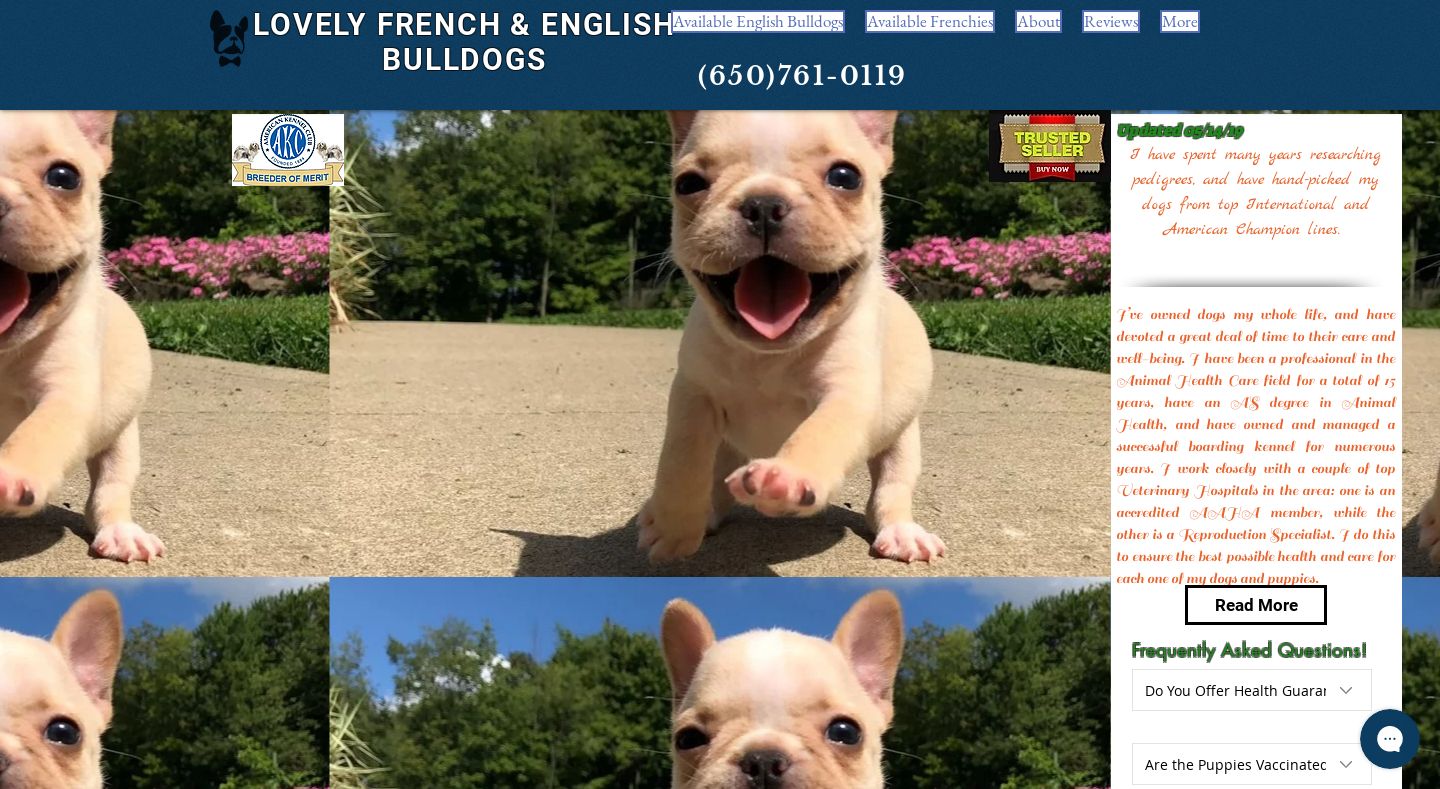 Unitedstatebulldogs.com - English Bulldog Puppy Scam Review