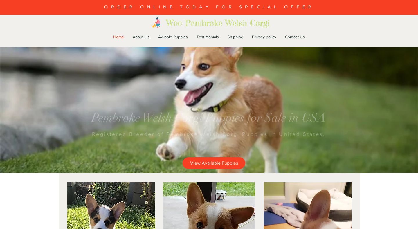 Woopembrokewelshcorgi.com - Corgi Puppy Scam Review