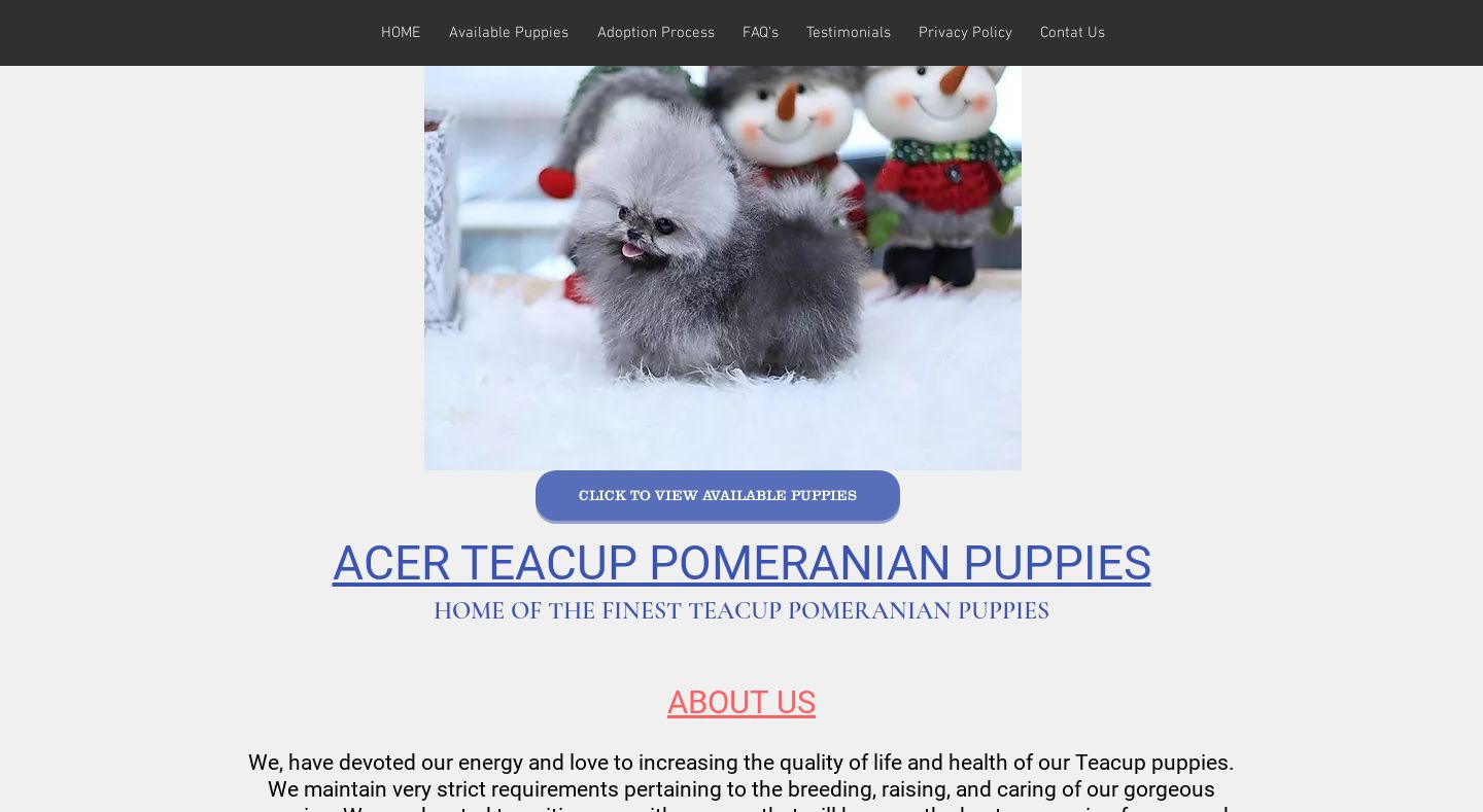 Acerteacuppomeranianpuppies.com - Pomeranian Puppy Scam Review