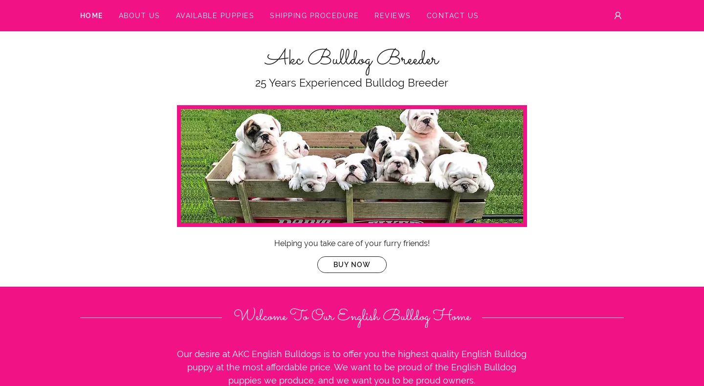 Akcbulldogbreeder.club - Bulldog Puppy Scam Review