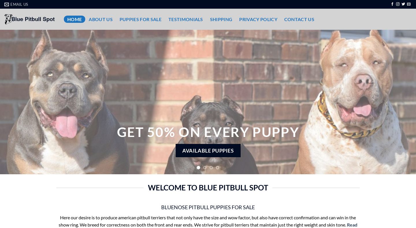 Bluepitbullspot.com - Pit Bull Puppy Scam Review