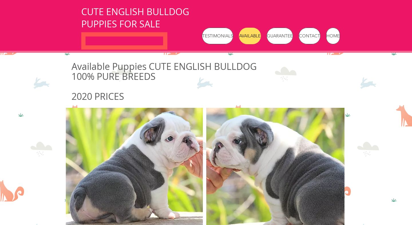 Bulldogspupsheather.com - Bulldog Puppy Scam Review