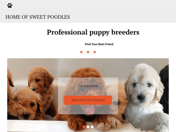 Charmingpoodleshome.net - Poodle Puppy Scam Review