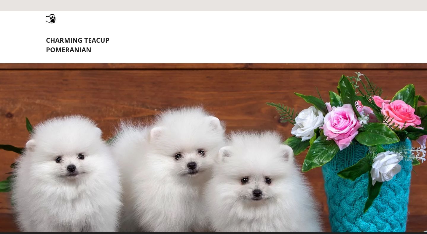 Charmingteacuppomeranians.com - Pomeranian Puppy Scam Review