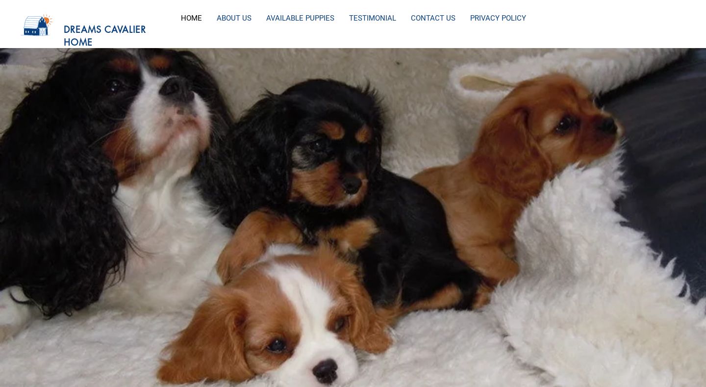 Dreamscavalierhom.com - Cavalier King Charles Spaniel Puppy Scam Review