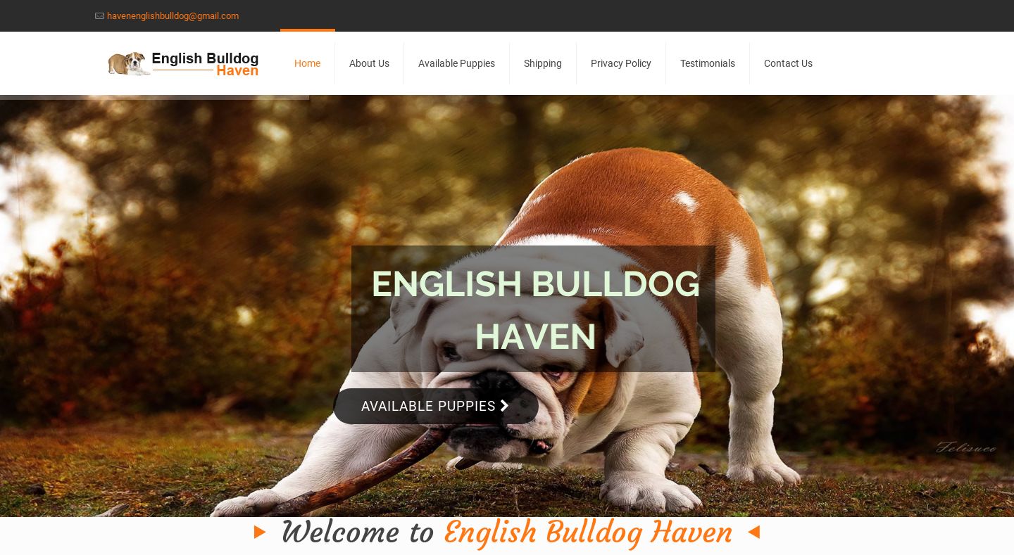 Englishbulldoghaven.com - English Bulldog Puppy Scam Review