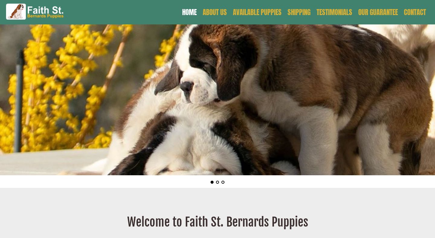 Faithstbernards.com - Saint Bernard Puppy Scam Review