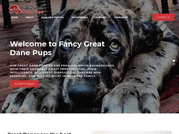 Fancygreatdanepups.com - Great Dane Puppy Scam Review