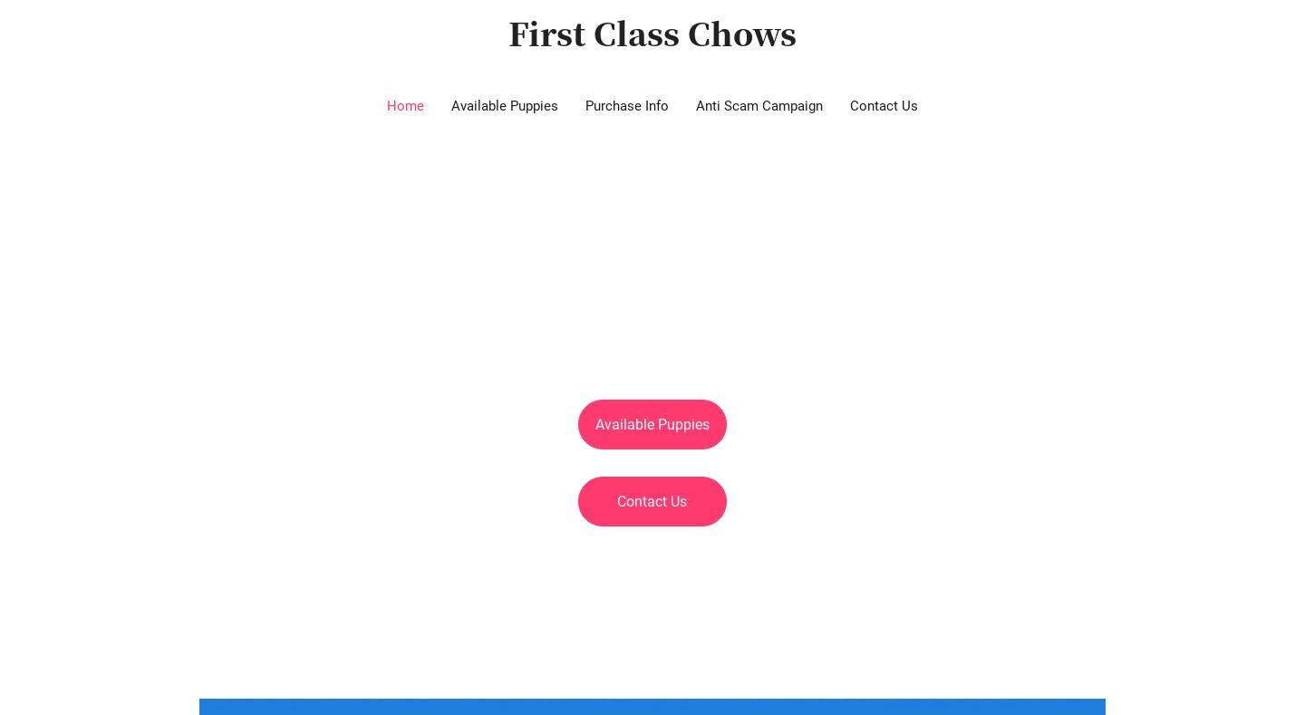 Firstclasschows.com - Chowchow Puppy Scam Review