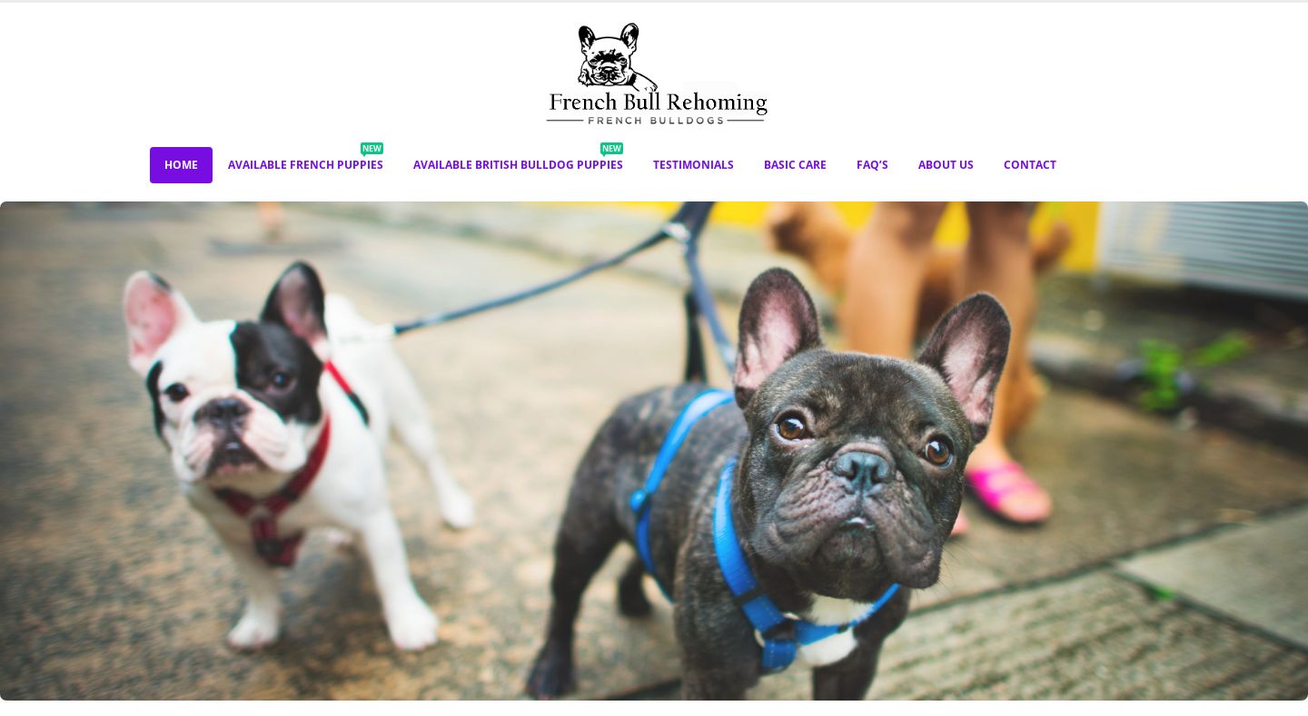 Frenchnbritishbulldogs4sale.com - French Bulldog Puppy Scam Review