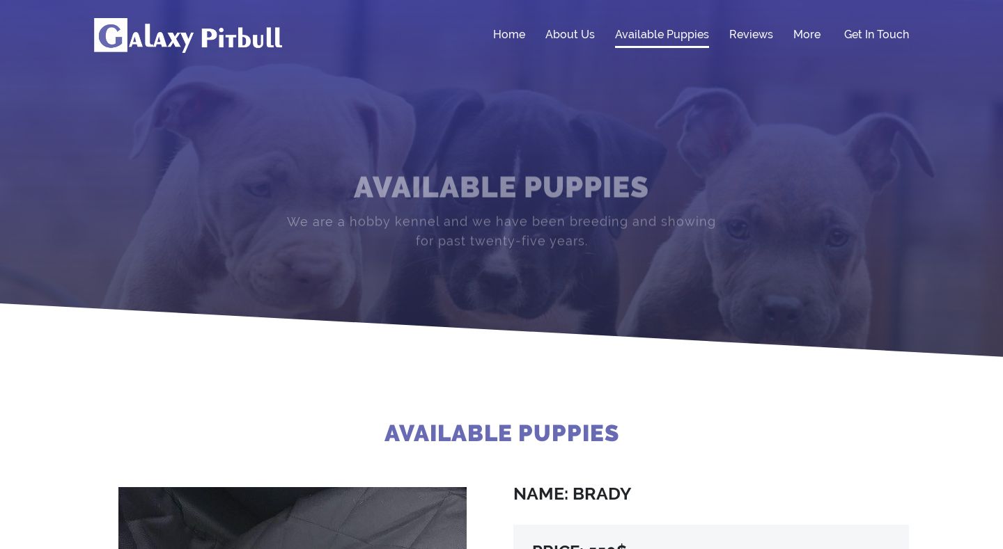 Galaxypitbull.com - Pit Bull Puppy Scam Review