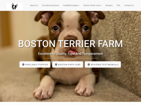 Kizzeeybostonterriersfarm.com - Terrier Puppy Scam Review